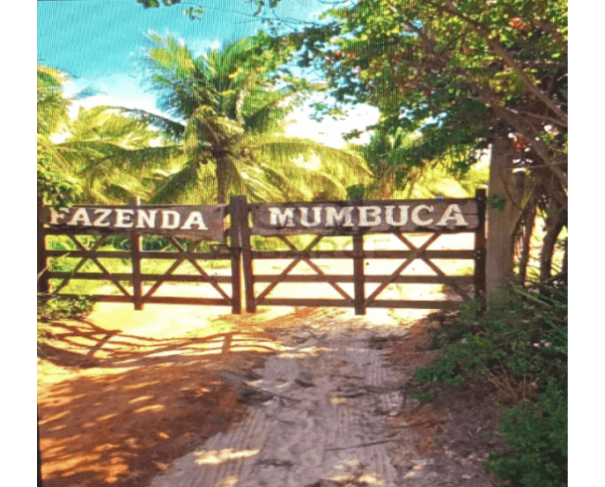 Foto de CONDE/BA - FAZENDA MUMBUCA 24,03HA