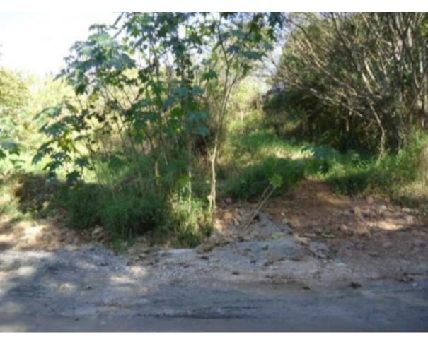 Terreno no Meu Cantinho (foto 5 de 6)