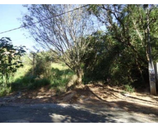Terreno no Meu Cantinho (foto 3 de 6)