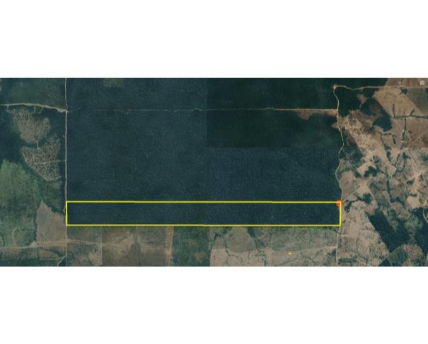 Foto de ARIPUANÃ/MT - FAZENDA SÃO FRANCISCO 504 HECTARES