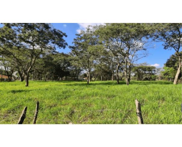 Foto de BAURU- TERRENO DE 5.394M² - LOTEAMENTO VALLE SÃO LUIZ