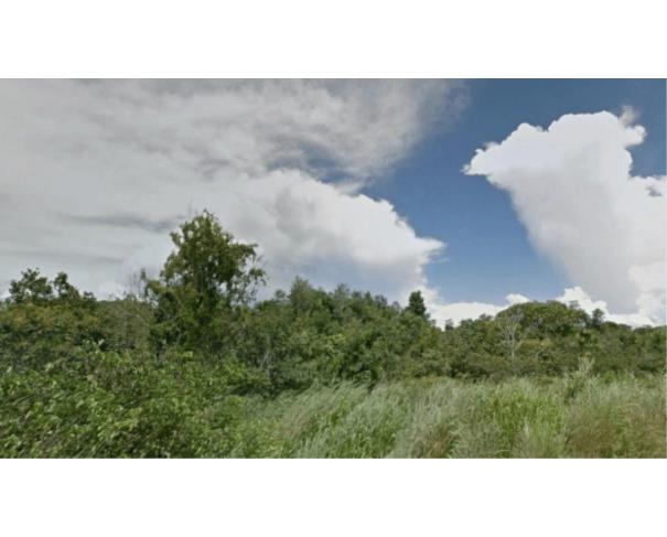Foto de MATO GROSSO- FAZENDA SÃO JUDAS TADEU COM 2.037 HECTARES