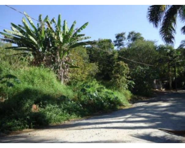 Terreno no Meu Cantinho (foto 4 de 6)