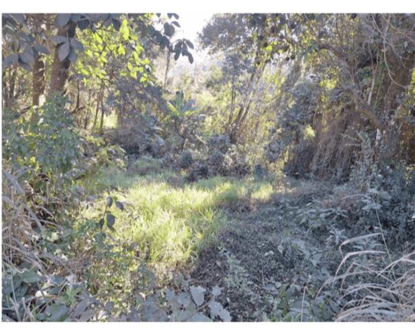 Foto de JARINU- LOTE DE TERRENO COM 729,43M³
