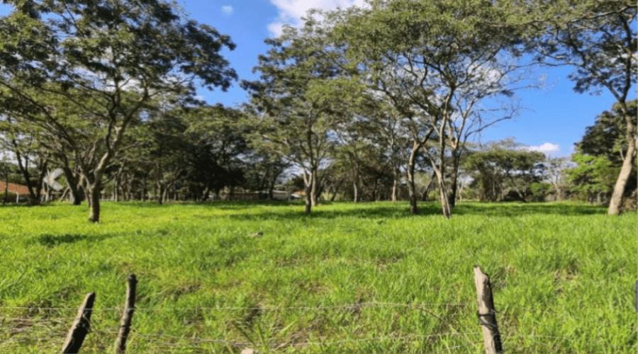 Imagem do imóvel BAURU- TERRENO DE 5.394M² - LOTEAMENTO VALLE SÃO LUIZ BAURU- TERRENO DE 5.394M² - LOTEAMENTO VALLE SÃO LUIZ