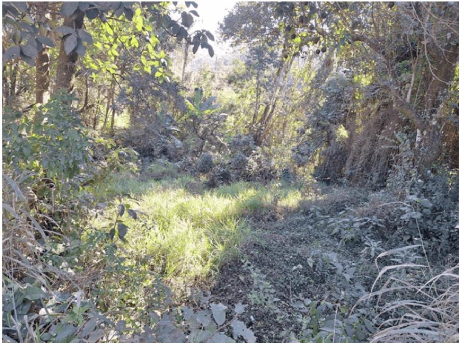 Imagem do imóvel JARINU- LOTE DE TERRENO COM 729,43M³ JARINU- LOTE DE TERRENO COM 729,43M³